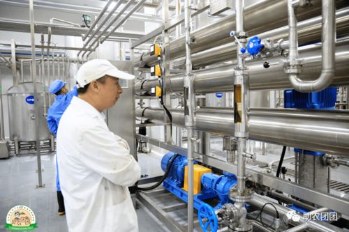 助農團團丨刺梨產業巡禮① 刺梨原榨果汁,天然原味,你敢來喝嗎